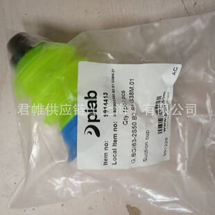 PIAB   ������P   ��̖�� 9914413 �r����ˌ�