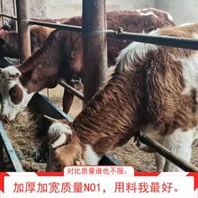 ţ���������ιţ���ˮιʳ�ۿɷ��Dʽʳ���R�ϲ��H�ϲ��Bֳ����