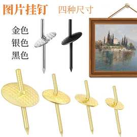 工厂货源黑金银色花片钉斜片图片挂钩置物钉铁艺挂片四种尺寸挂钉