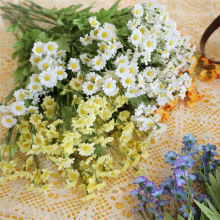 ������ʾ� �羳�߶ˆ�֦��@С�r�շ��滨����Ұ�������Ĕz����