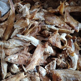 �~����ϴ������� ���N�~���|���� ��ϼ��~�����l���׸ߺ��~�I�B