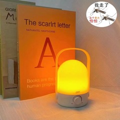 屋内と屋外の特別なサイレント充電式黄色光 LED 雰囲気ライト夜釣り蚊よけポータブル屋外キャンプライト