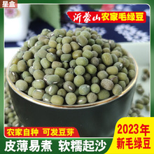 毛绿豆2023年新绿豆5斤沂蒙山农家老品种笨绿豆易煮出沙可生豆芽