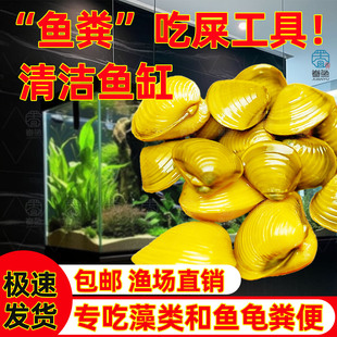 �S��͘��͘Ϫ͘С�Ӱ��S���ݳ��� �坍��ˮ�^�p �~�׳��~�S������