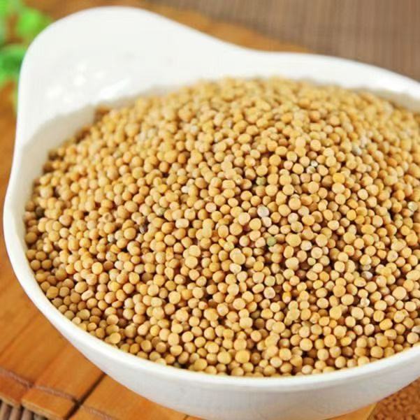 White Mustard Seed Powder Bai Jie Zi Fine Ground Traditional Chinese Herb 500g specifications
