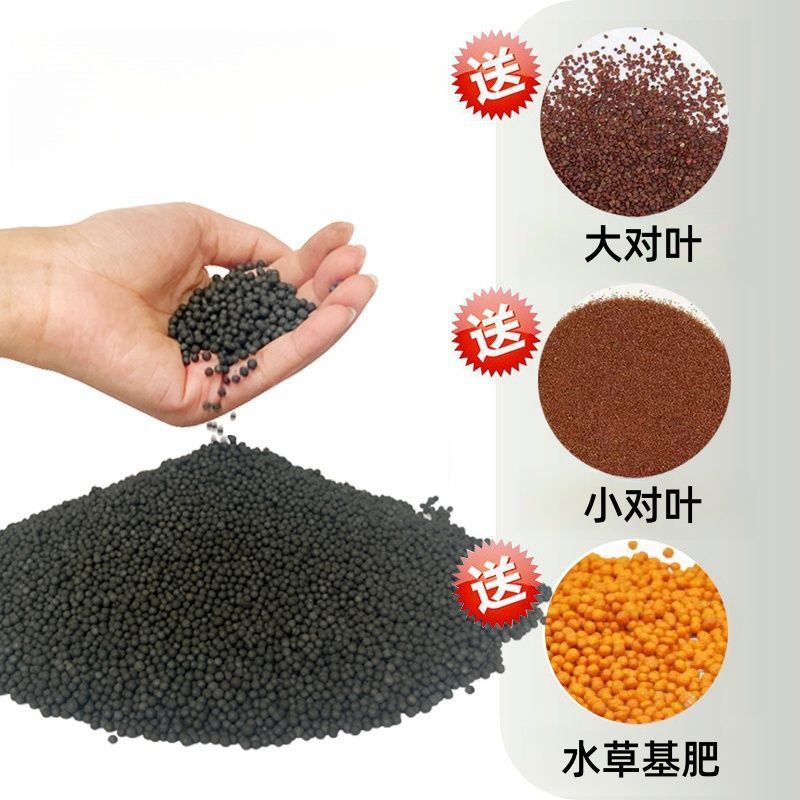 큰잎쌍 + 작은잎쌍 [각 7099개] + 재배비료 - 고비료 진흙 [ 2.51kg ]