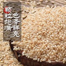 �|������5���b ���װlѿ�������s�Z�����峣�������������