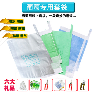 Grape Bagging White Waterproof Insect-Proof Bird Loquat Mango Green Blue Three-Color Breathable Sunshine Rose Bagging
