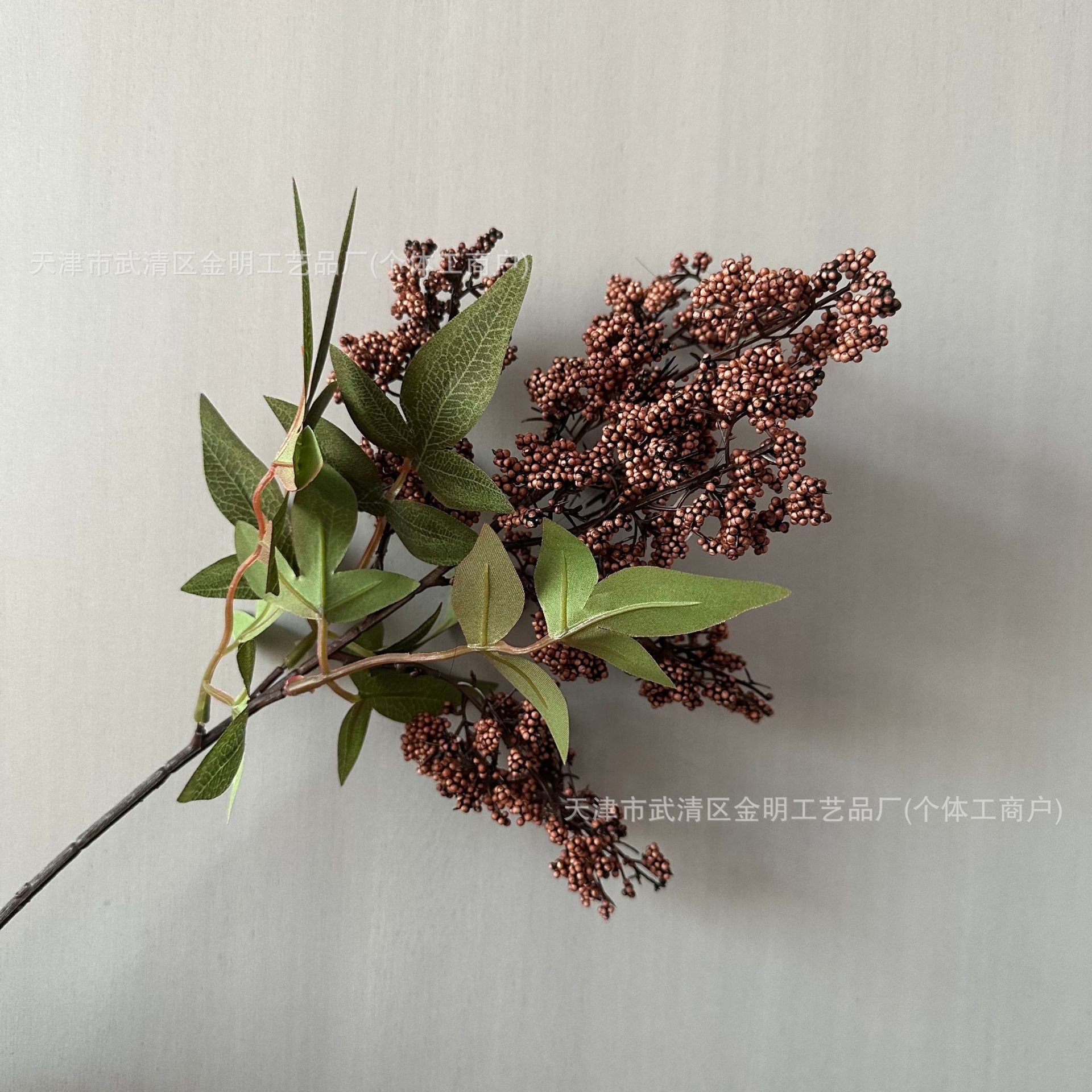 亚马逊小支南天竹果花椒果装饰浆果树枝花瓶装饰红果实支装饰野果