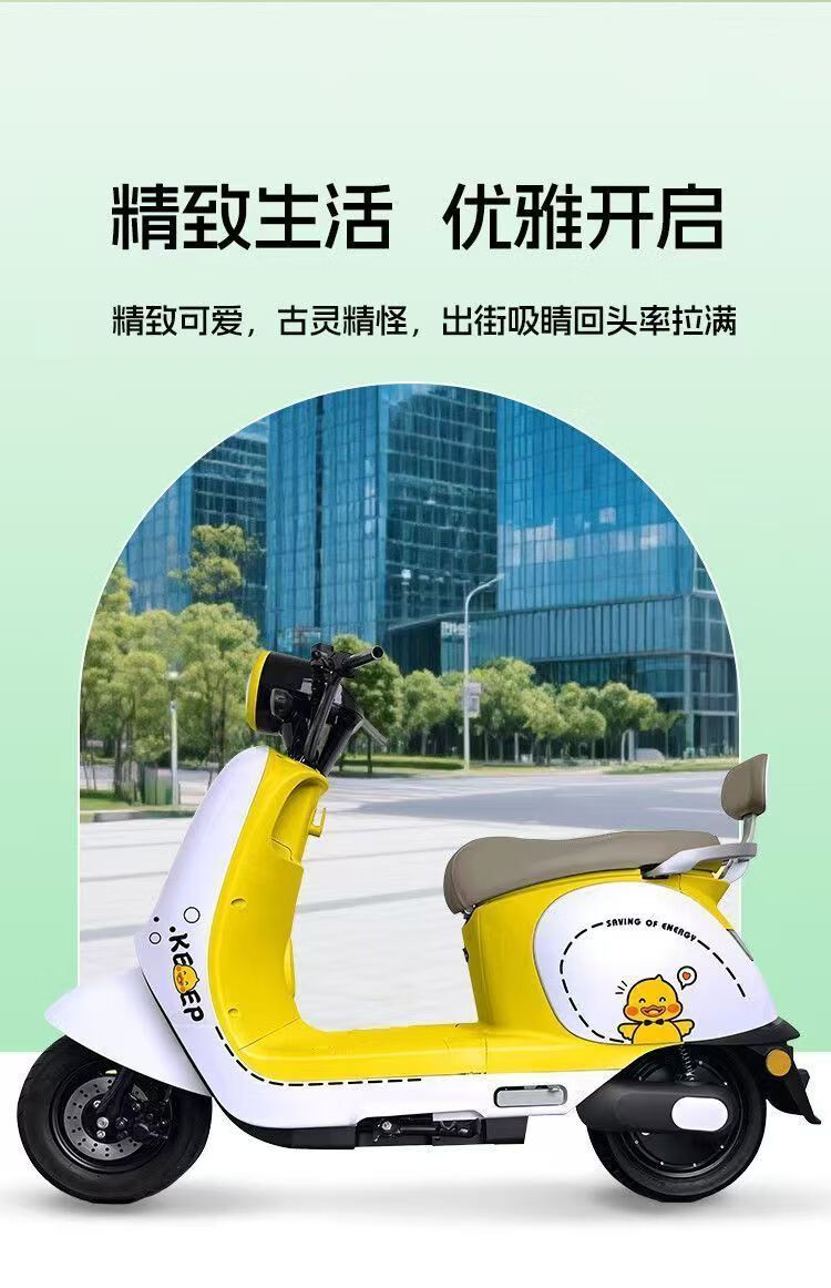 Electric Motorcycle Scooter