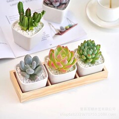 木製 3 グリッド多肉植物収納ボックス組み合わせ鉢植え DIY マルチグリッド木箱小さな緑の植物木箱バルコニー小さな植木鉢