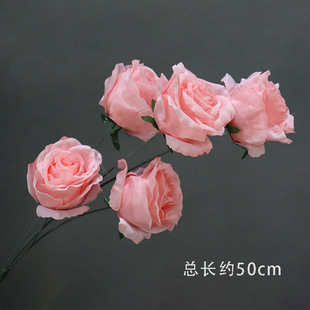 ��ɫ��c���ٻ�������Y���õ�픻�ˇ·���廨���Ľ����b�