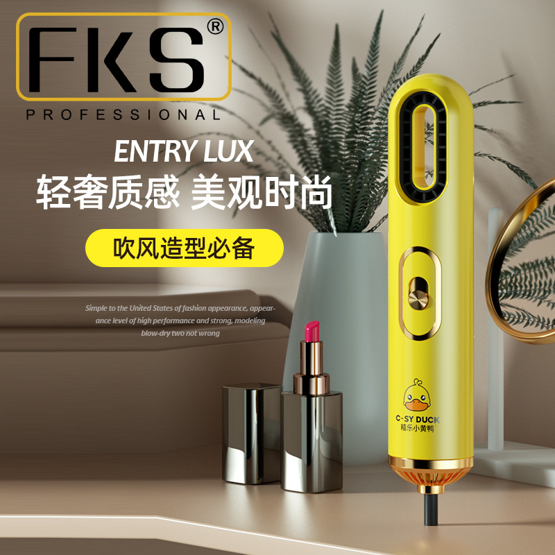 FKSF1新概念便携吹风机网红时尚负离子速干护发恒温调节宿舍家用|ms