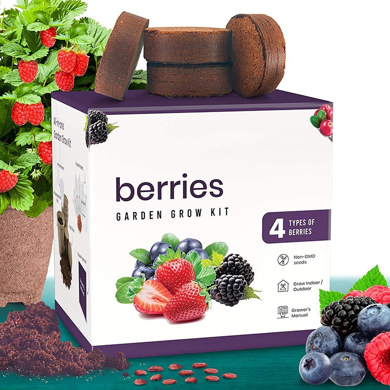 Amazon Gardening Kit Planting Set for Children and Adults DIY Gift Box Wholesale Balcony Flower Pot for Home Use Amazon Gardening Kit Planting Set for Children and Adults DIY Gift Box Wholesale Balcony Flower Pot for Home Use