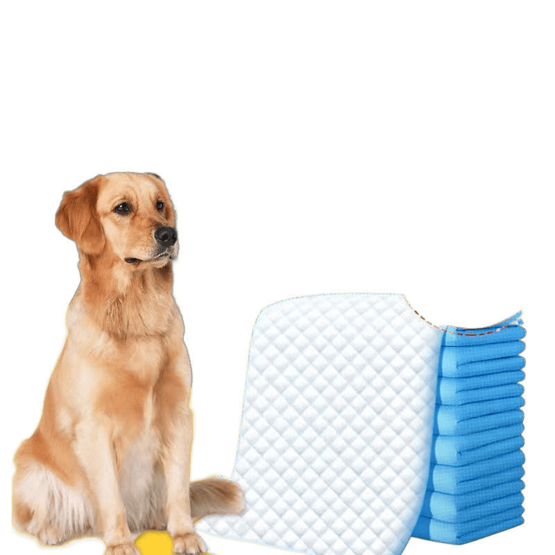 犬用おむつパッド、ペット用おむつパッド、増粘犬用おむつパッド、犬用おむつパッド、吸収パッド、猫用おむつ|undefined