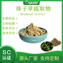 ���Ӳ݆Ό��� ���Ӳ���ȡ�� Pearl grass ���Ӳݷ� ���в� �F؛