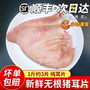 ��Ƭ�o���i�������r����i��Ƭ�o���i������Ƀ���ë���|��S���]