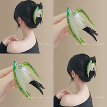 ���Ӛw�r~�紺��������ץ�AŮ�߼���2026�¿�ɐ۹��L�P�l���~�A