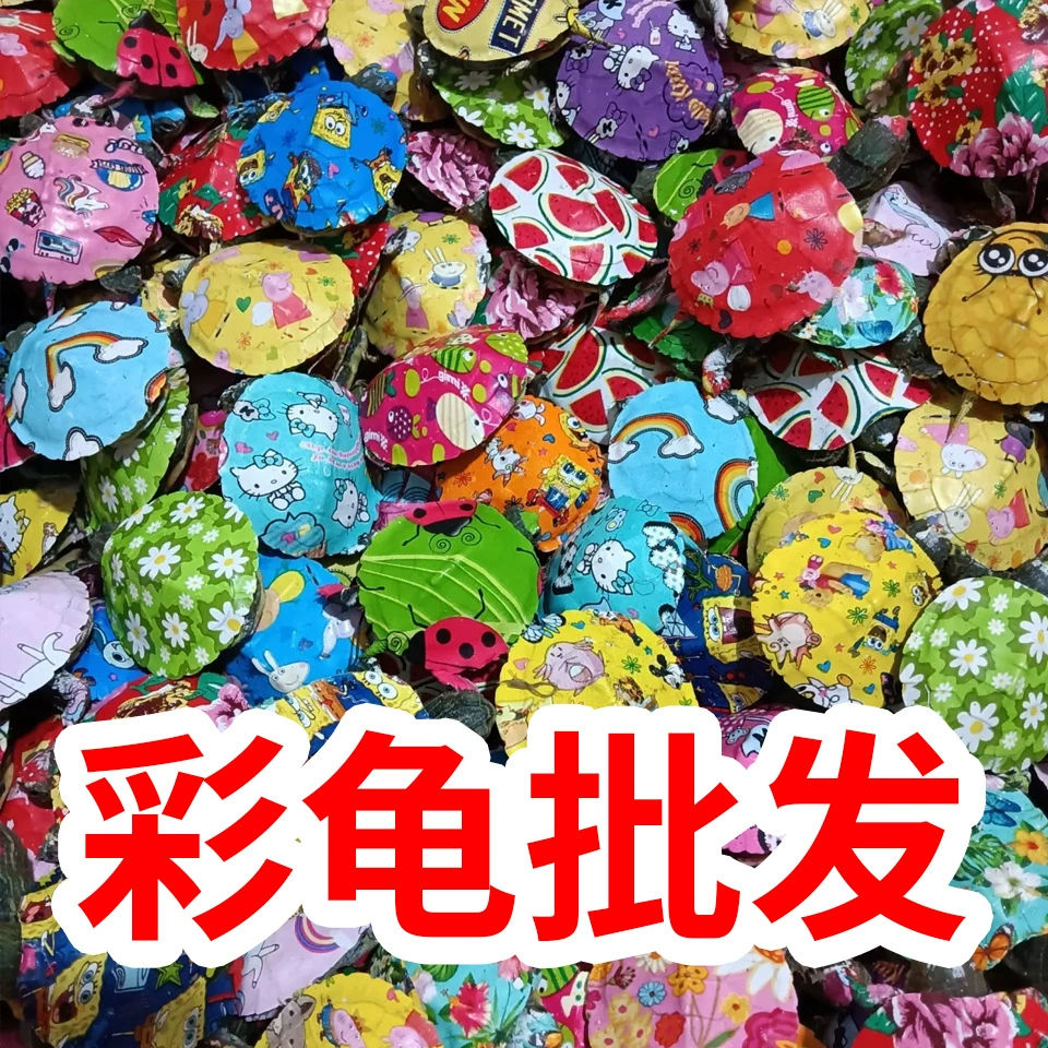 Глубоководная черепаха, живая черепаха с длинным хвостом, домашняя черепаха, желтоухая черепаха с боковой шеей, пресноводная черепаха, питающаяся фекалиями.