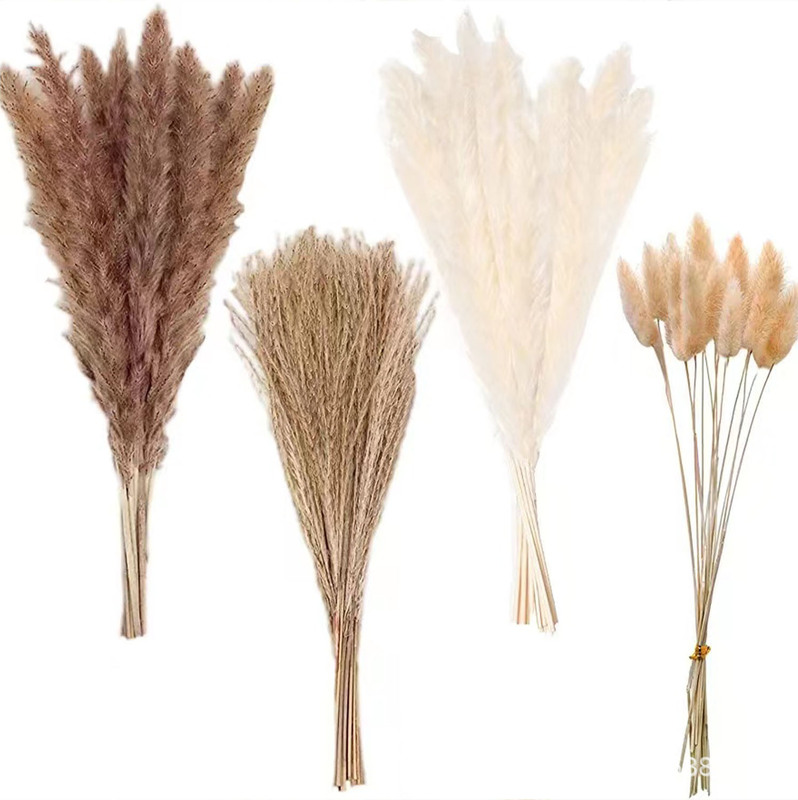 Small Reed bouquet whisk rabbit tail grass dried flower set natural air-dried real flower ins home decoration ornaments cross-border Small Reed bouquet whisk rabbit tail grass dried flower set natural air-dried real flower ins home decoration ornaments cross-border