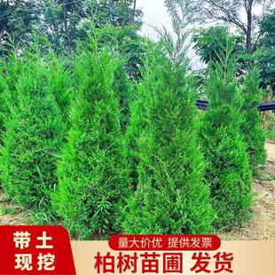 һ�����l�ɰؘ���Ȱ�ɳ���������辰��С�����������f����Ĺ�ؘ�