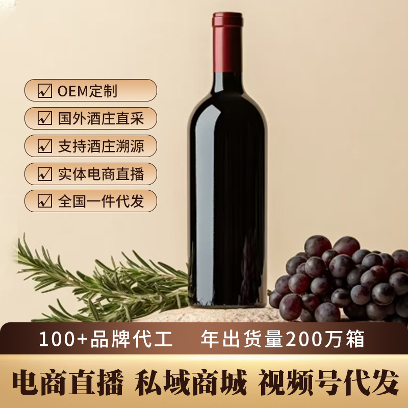法国进口干红葡萄酒批发礼盒装送礼专用伴手礼厂家批发一件红酒