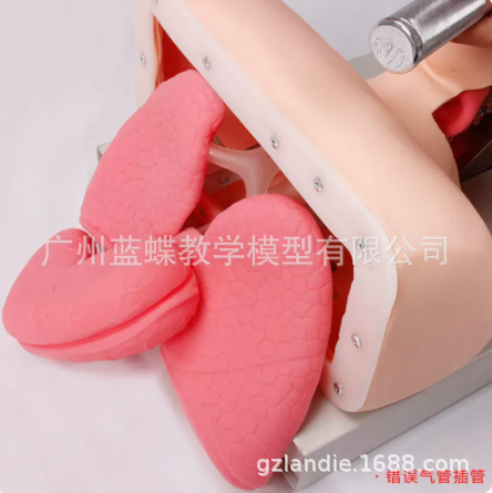 J50���˵������ܲ�ܽ�ѧģ�ʹ����� ���弱��ѵ�� ����ѹ�ȱ���