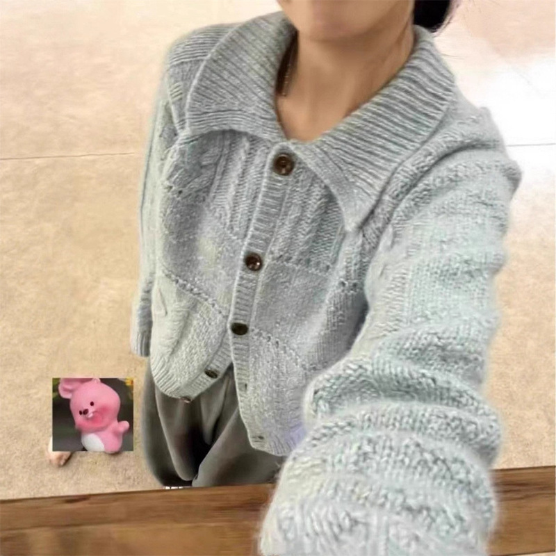 韩系设计感减龄翻领软糯毛衣女上衣秋冬新款宽松保暖长袖针织开衫|undefined
