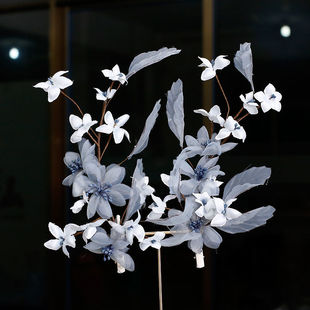 �����Y�^��2021���n�¿�ɭϵ�������^����l�A�Y�鼆�Y�����Ʒ