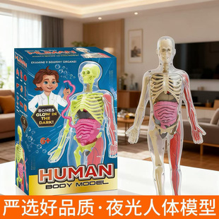 ���w����ģ����߹������ٽY��ƴ�b�t�W�̾߹Ǽ�ģ�̓�ͯ�������