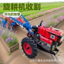 151底盘农用手扶拖拉机 手扶水旱两用耕田机 大棚菜园起垄开沟机