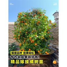 ���Ә����Թ�����Ә������ļ��޽ӎ����҃����ϱ����Nֲ�������