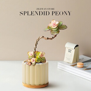 �\��ĵ������ֲ�����������Ϙ�С���ԾGֲ�k���ҹ�λ����Ů���Y��