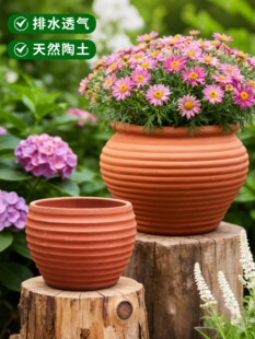 �t�ջ����ڏ������չޏ͹����մ��ջ�ƿ�o��ͥԺ͸���a����