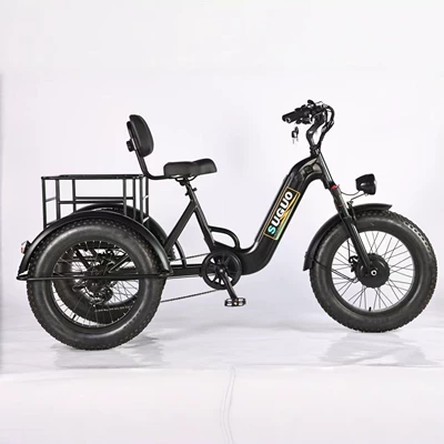 Bicycle Lithium Battery – Youmiou Auto Parts and Accessories