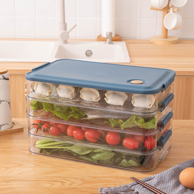 冰箱保鮮盒透明保鮮速凍餃子盒多層冰箱收納盒果塑肉類分類塑料盒