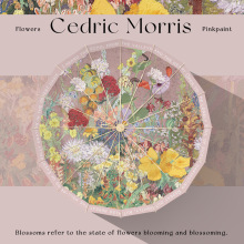 16�����Ů�ۯB��̖���L������Ç��L���z̫ꖂ�������⾀��ꖂ�