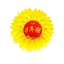 少年强向日葵舞蹈手拿花运动会入场创意道具幼儿童合唱手持太阳花