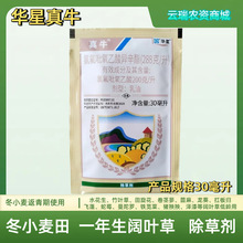 华星真牛氯氟吡氧乙酸小麦田阔叶草低龄水花生铁苋菜猪殃殃除草剂