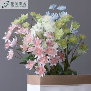 �����ѹ�Ӣѩ�ɻ��߷¼ٻ�3D��ӡ�����Ҿ��b����c�ٻ����滨