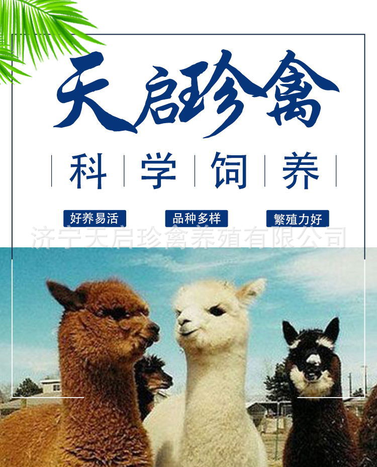 6bc63aaa96021d32a5de22a15ede70