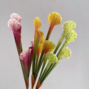 ����ֲ�� ƿ�Ӳ� �i�\�ݻ�ˇ �Ҿ��b� ��֦�ٻ� ܛ�b��O �zӰ��