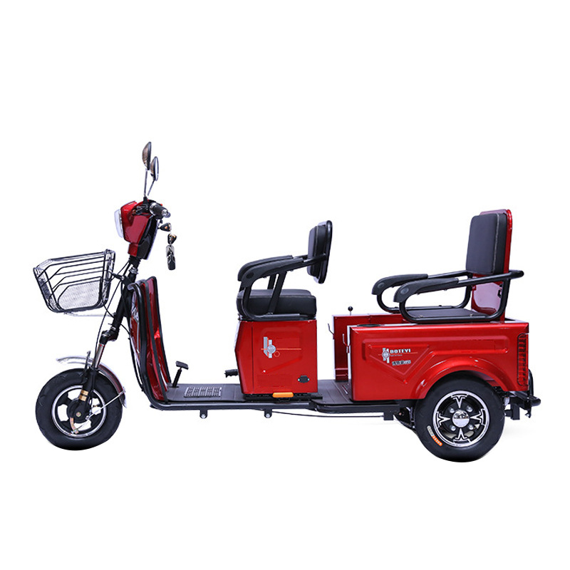 peogel Electric Tricycle for Students, Child Safety Design (Auto Parts and Accessories) - 600w-vehicle-only