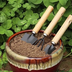 Flower planting tools Gardening soil loosening flower shovel Potted flower arrangement planting tools three-piece set household set vegetable planting shovel