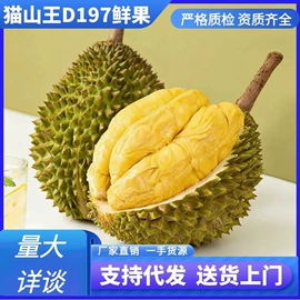 榴莲;榴莲干;芒果