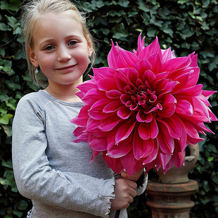 �I2��1�ذ�������N����o���Ե���ͥԺ�̨�ļ����������ܵعϻ�