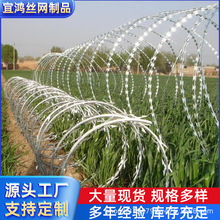 ƬK COzFzWF޼ p̝L\̽zK