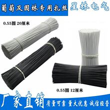 �h���������z0.55�A��1000�l�J�������z�����������������z���l