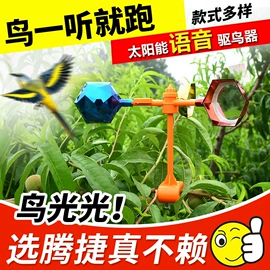 软梯、逃生梯;其他灾害防护;其他坠落防护