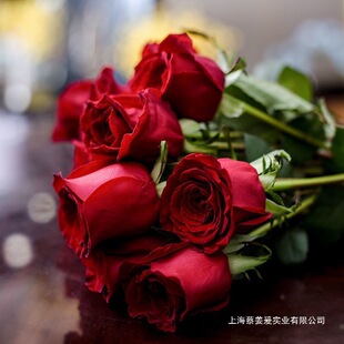 �r�����ֱ�l���l���ETõ�廨�����r�滨õ���r��B�ڼtõ��ħ�g